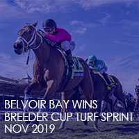 BreedersCupTurfSprint19