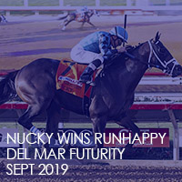 runhappystakes19